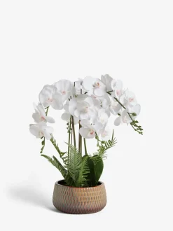 Kunstbloemen*Next Echt aanvoelende kunstorchidee in reactieve keramische pot