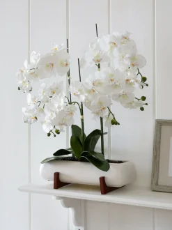 Kunstbloemen|Next Extra grote echt aanvoelende kunstorchidee in witte pot met houtden standaard