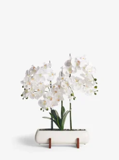 Kunstbloemen|Next Extra grote echt aanvoelende kunstorchidee in witte pot met houtden standaard