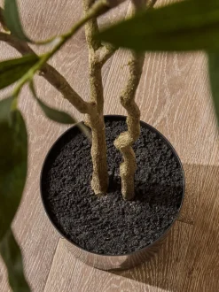 Kunstbloemen|Next 6ft Artificial Olive Tree