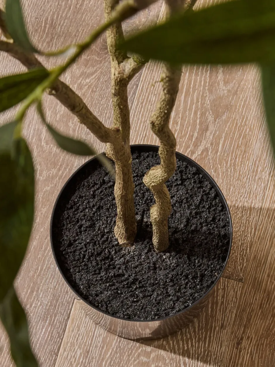 Kunstbloemen|Next 6ft Artificial Olive Tree