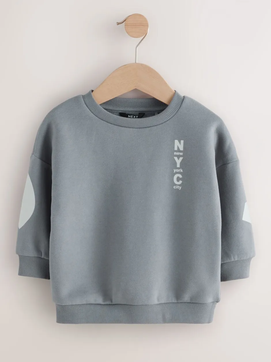 Truien En Breisels|Sweaters En Hoody´S|Next Grijs - Jersey sweatshirt met ronde hals en print op de rug (3mnd -7jr)