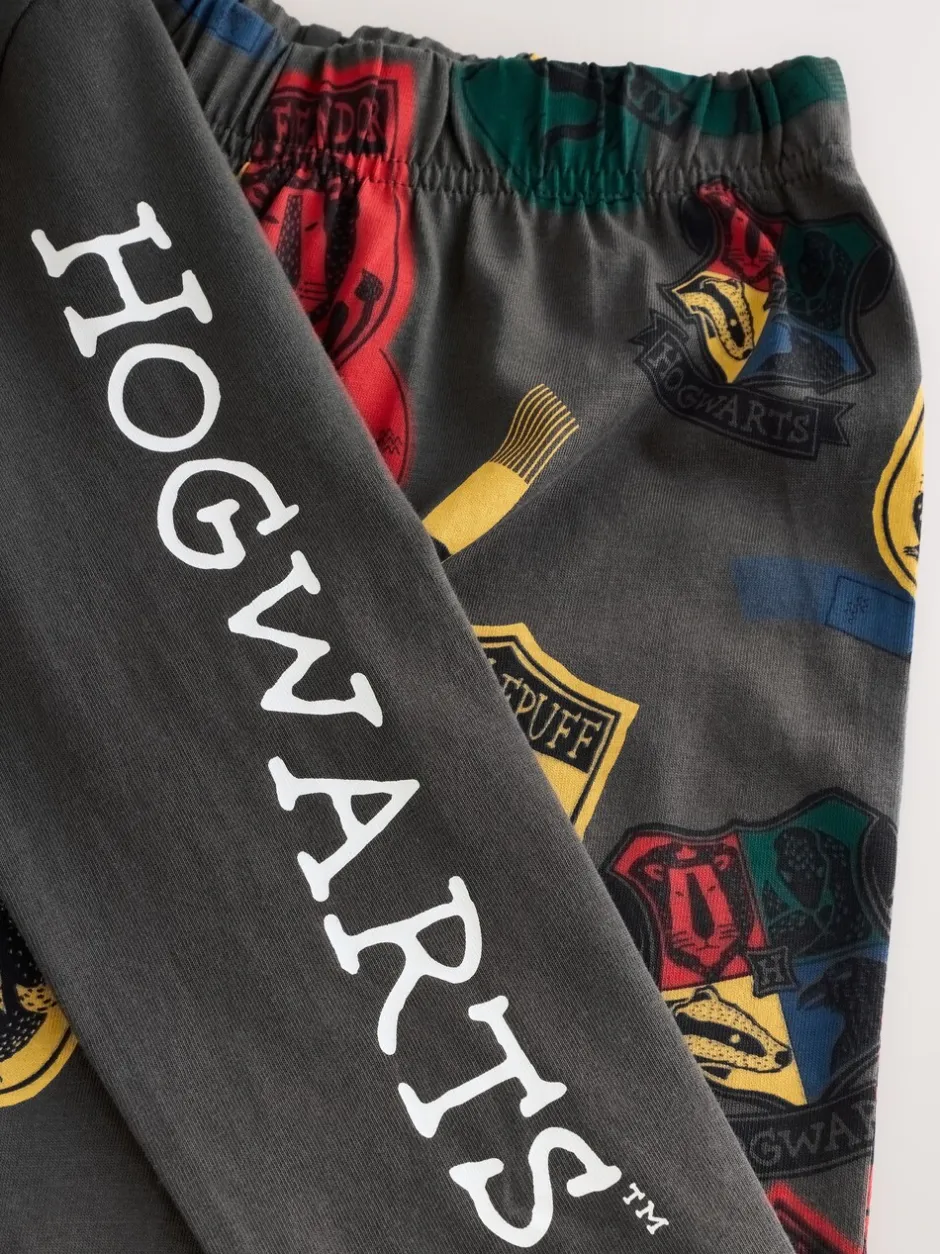 Pyjama's|Nachtkleding En Pyjama's|Next Grijs/Blauw Harry Potter - Pyjama met één licentie (4-16jr)