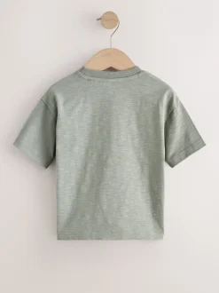 T-Shirts|Tops|Next Groen giraf - T-shirt met korte mouwen en applicatie (3 mnd - 7 jr)