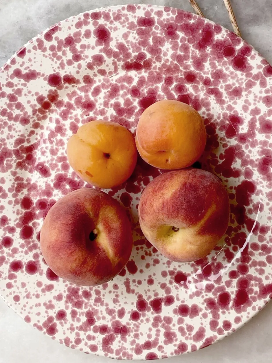 Eetservies En Pastaschalen*Hot Pottery Set of 4 Splatter Dinner Plates Cranberry