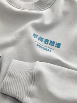 Sweaters En Hoody´S|Sweaters En Hoody´S*Next Ice grey - Sweatshirt met ronde hals - Hokusai Graphic License