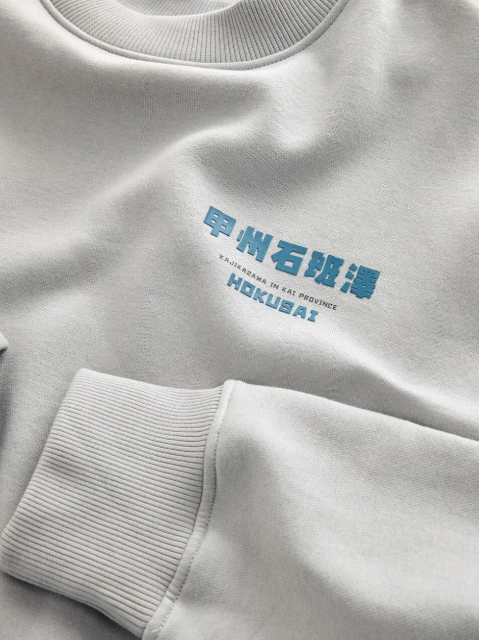 Sweaters En Hoody´S|Sweaters En Hoody´S*Next Ice grey - Sweatshirt met ronde hals - Hokusai Graphic License
