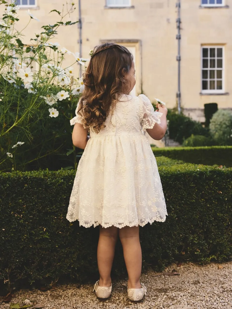 Jurken*Next - Embroidered Prom Dress (3mths-8yrs) Ivoor