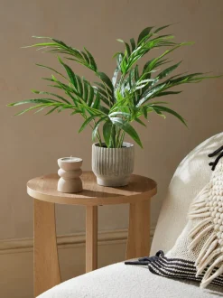 Kunstbloemen|Next Kleine Kentia-kunstpalmplant in geribbelde betonnen pot