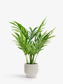 Kunstbloemen|Next Kleine Kentia-kunstpalmplant in geribbelde betonnen pot