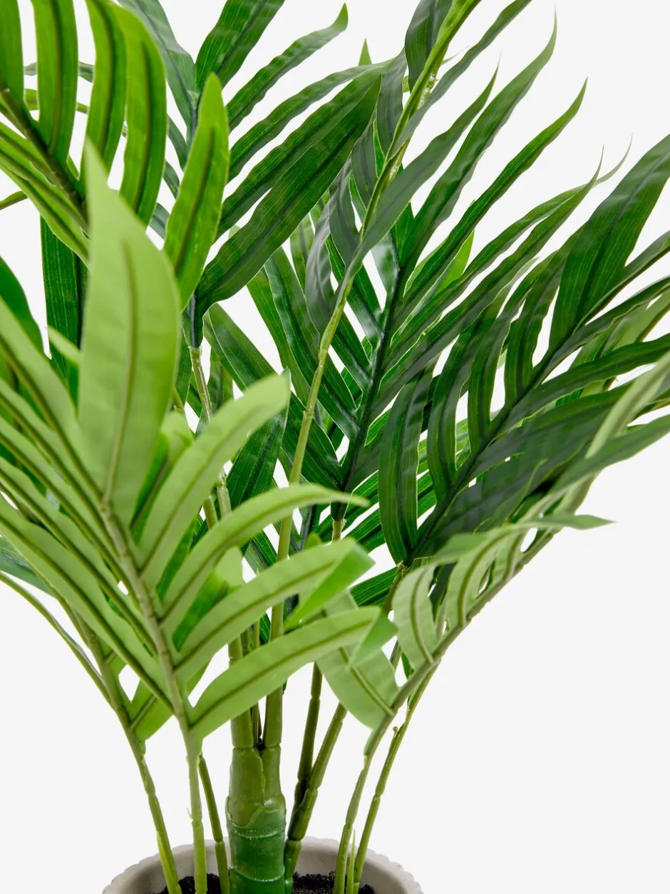Kunstbloemen|Next Kleine Kentia-kunstpalmplant in geribbelde betonnen pot