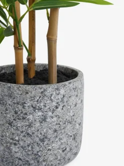 Kunstbloemen*Next Kunstbamboeplant in stenen pot