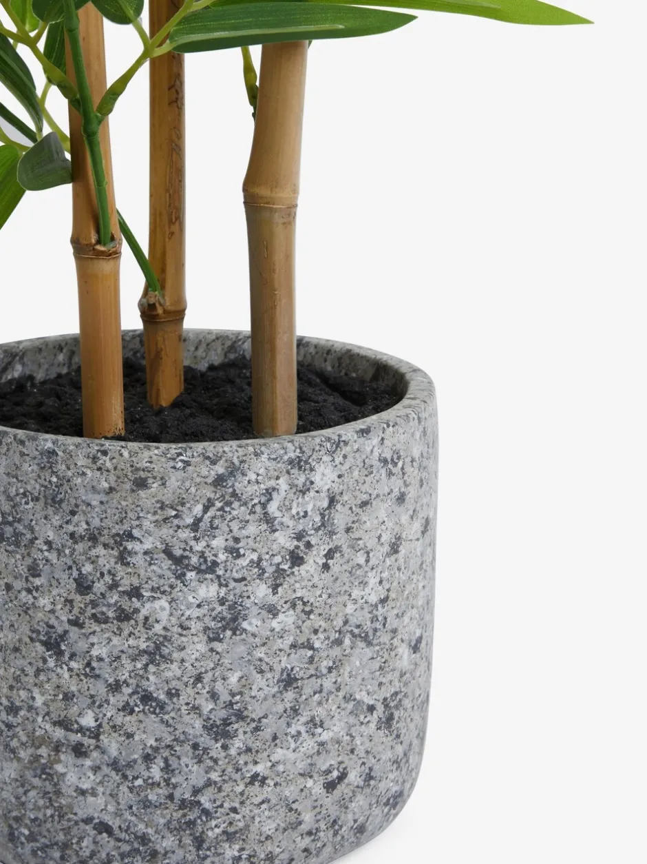 Kunstbloemen*Next Kunstbamboeplant in stenen pot