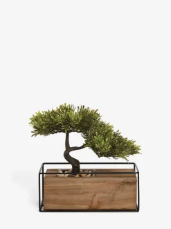 Kunstbloemen*Next Kunstmatige bonsaiboom in houten pot uit de Bronx