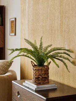 Kunstbloemen|Next Kunstmatige Boston-varen in een natuurlijk geweven plantenpot