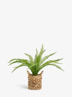 Kunstbloemen|Next Kunstmatige Boston-varen in een natuurlijk geweven plantenpot