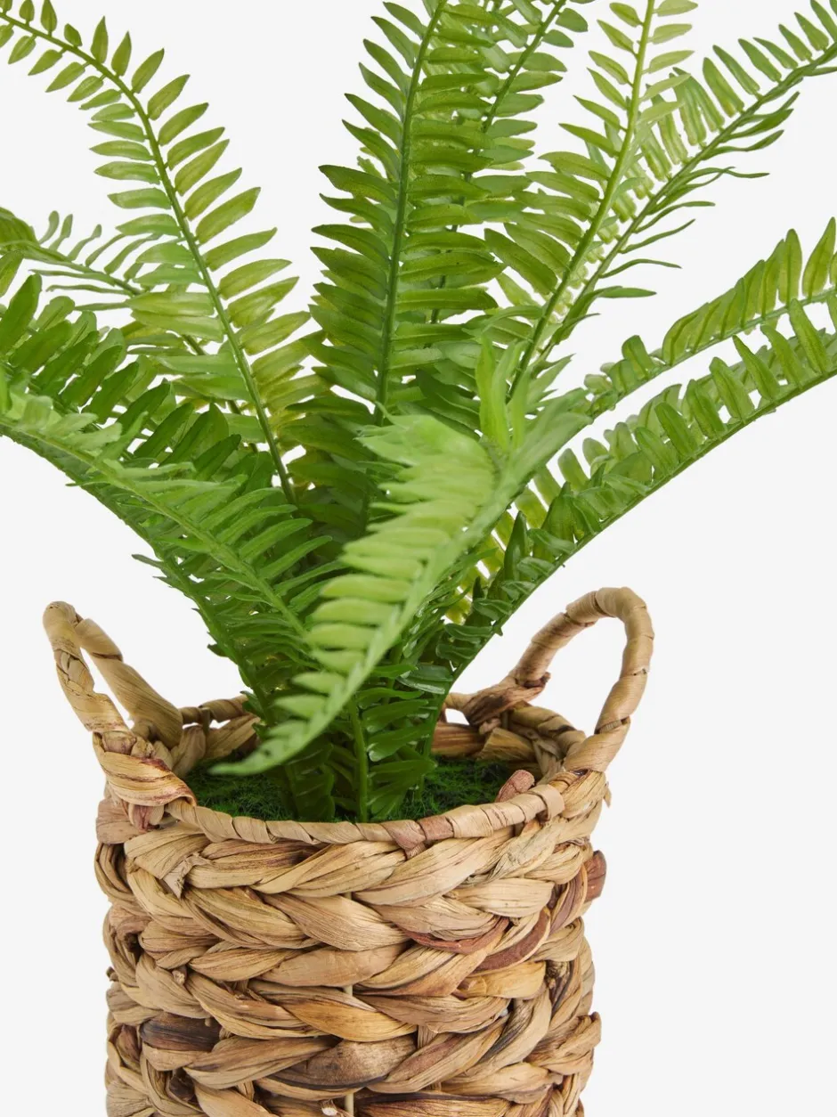 Kunstbloemen|Next Kunstmatige Boston-varen in een natuurlijk geweven plantenpot
