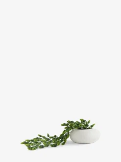 Kunstbloemen*Next Kunstmatige hangende hop in witte keramische pot