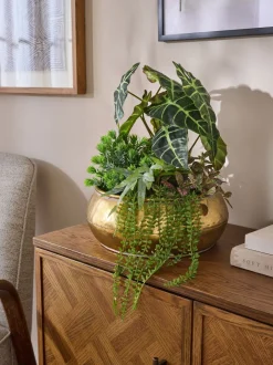 Kunstbloemen|Next Kunstmatige succulentenopstelling