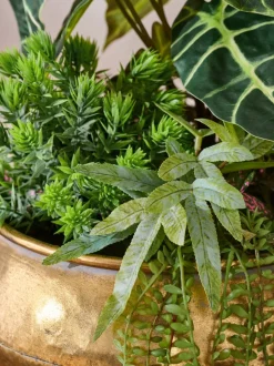Kunstbloemen|Next Kunstmatige succulentenopstelling