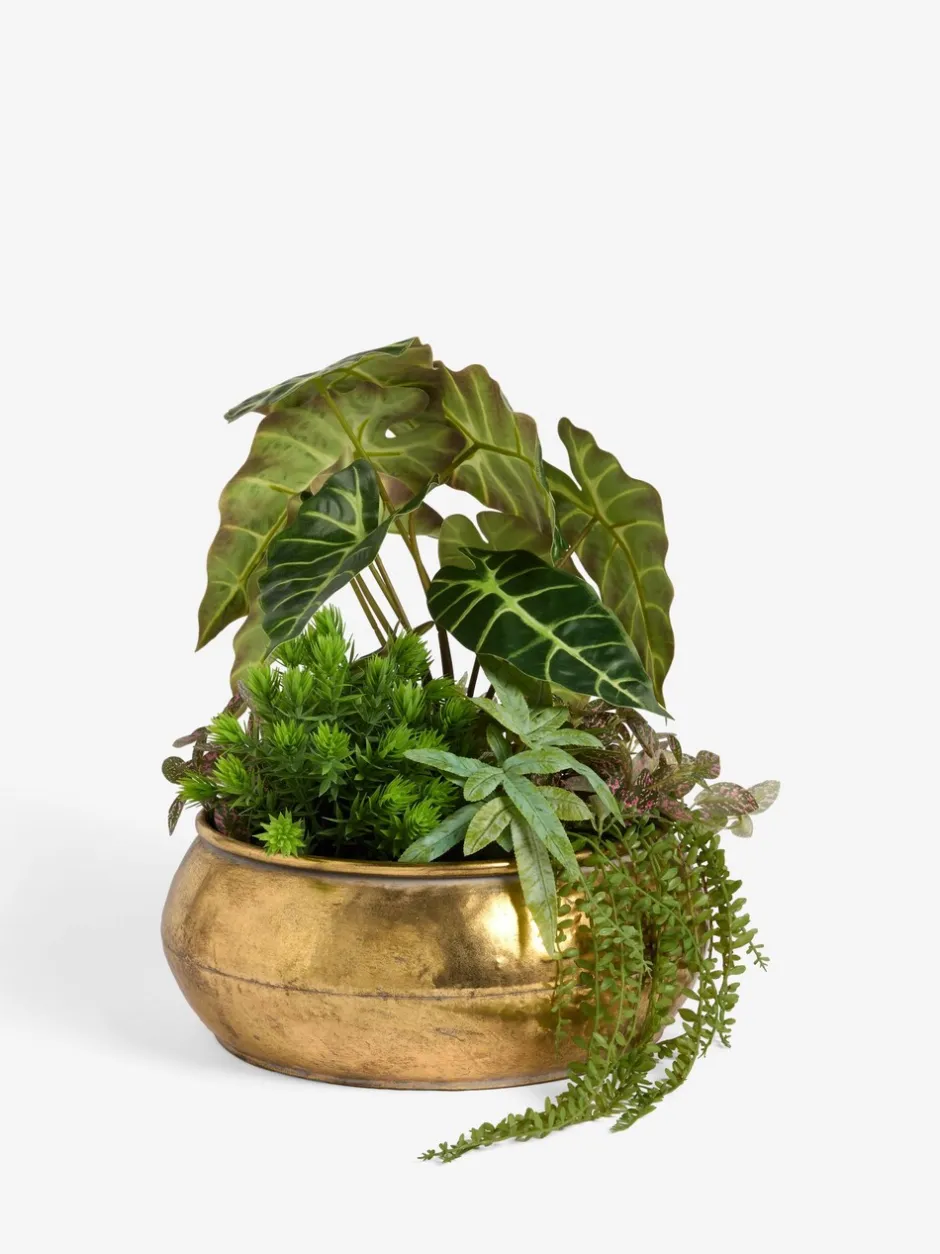 Kunstbloemen|Next Kunstmatige succulentenopstelling