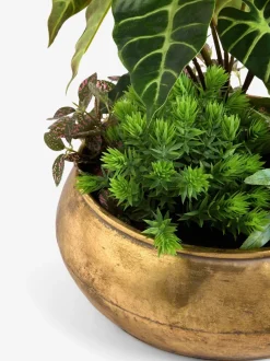 Kunstbloemen|Next Kunstmatige succulentenopstelling