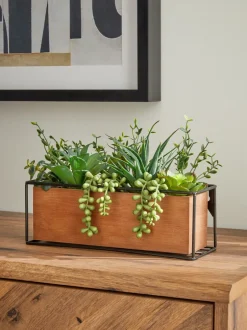 Kunstbloemen|Next Kunstmatige vetplantentuin in Bronx houten trog