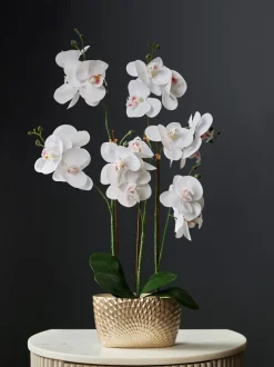 Kunstbloemen*Next Kunstorchidee in geometrische pot