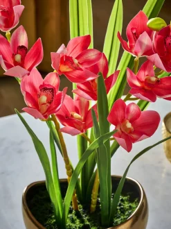 Kunstbloemen|Next Kunstorchidee in gouden keramiekpot
