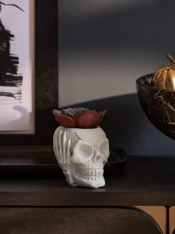Kunstbloemen|Next Kunstvetplant in een griezelige Halloween-schedel
