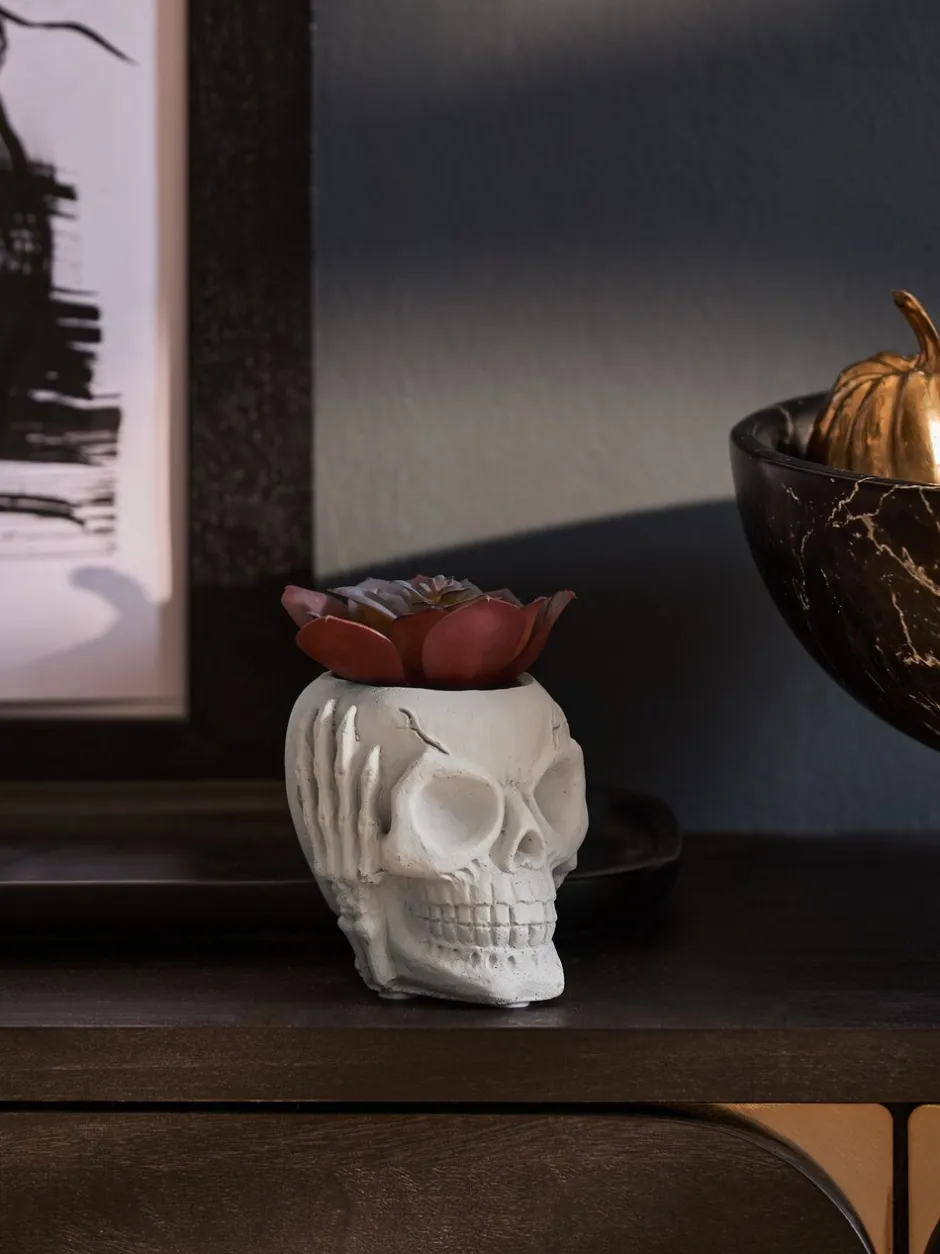 Kunstbloemen|Next Kunstvetplant in een griezelige Halloween-schedel
