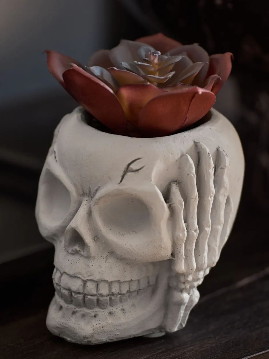 Kunstbloemen|Next Kunstvetplant in een griezelige Halloween-schedel
