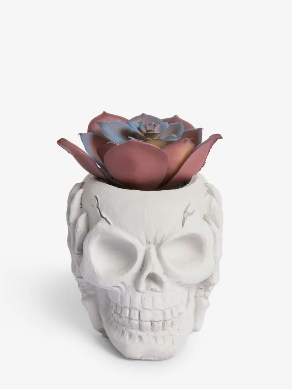 Kunstbloemen|Next Kunstvetplant in een griezelige Halloween-schedel