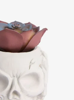 Kunstbloemen|Next Kunstvetplant in een griezelige Halloween-schedel