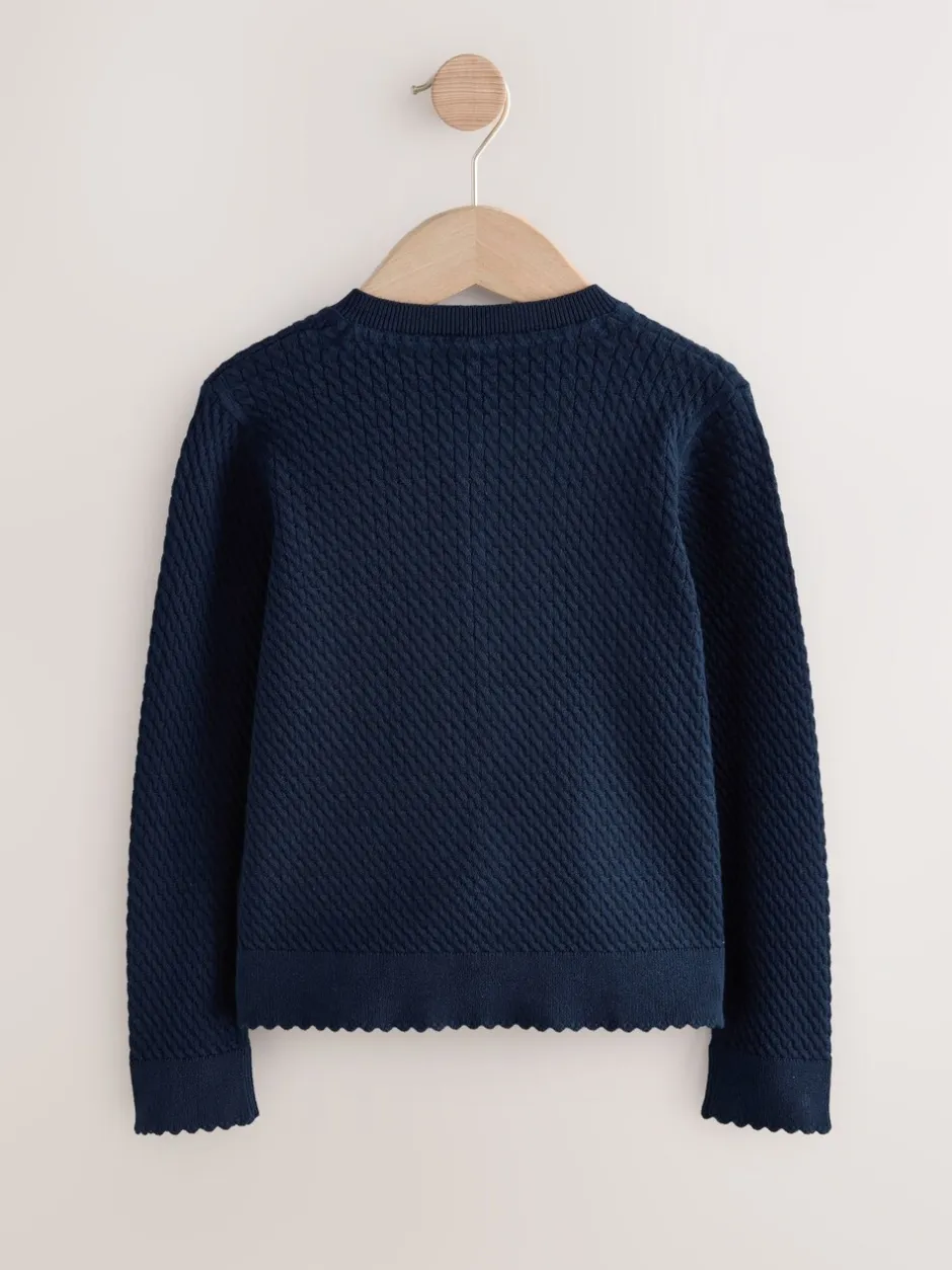 Schoolkleding|Gebreide Kleding*Next - Schoolvest met kabelmotief van katoen (3-16jr) Marineblauw