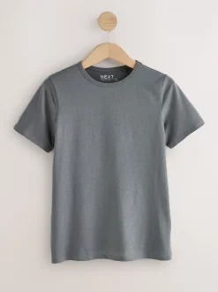 Tops En T-Shirts|Next - Set van 5 T-shirts met ronde hals en hoog katoengehalte Mineraalkleurig