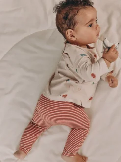 Tops|Sets En Combisets|Next Mineral Little Cub - 8-delige babyset van tops en legging (0 mnd - 2 jr)