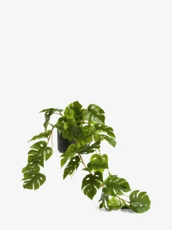 Kunstbloemen|Next Monstera-kunsthangplant