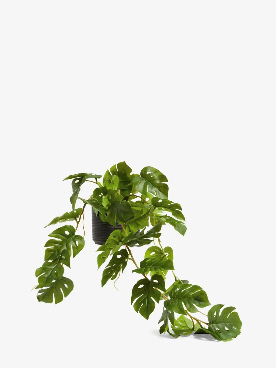 Kunstbloemen|Next Monstera-kunsthangplant