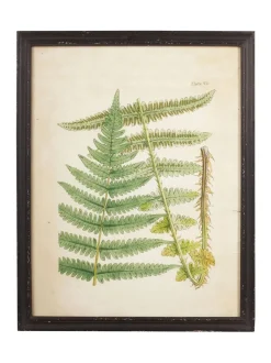 Canvassen En Kunst Voor Aan De Wand|OKA Set of 8 Framed Botanical Prints