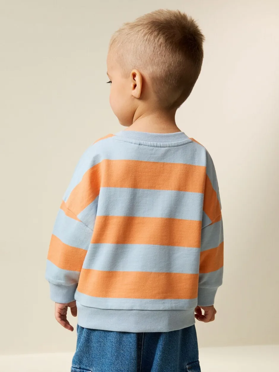Truien En Breisels|Sweaters En Hoody´S*Next Orange & Blue Stripe - Sweatshirt met ronde hals en all-over print (3 mnd - 7 jr)