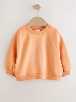 Sweaters En Hoody´S*Next Oranje - Sweatshirt met ronde hals (3 mnd-7 jr)