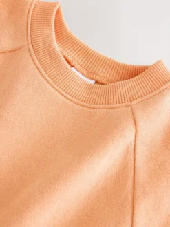 Sweaters En Hoody´S*Next Oranje - Sweatshirt met ronde hals (3 mnd-7 jr)