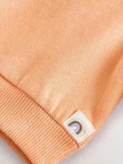 Sweaters En Hoody´S*Next Oranje - Sweatshirt met ronde hals (3 mnd-7 jr)