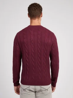Gebreide Kleding|U.S. Polo Assn - . Mens Cable Knit Crew Jumper Paars