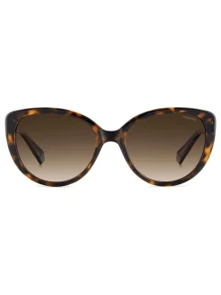 Zonnebril|Polaroid Brown Cat Eye Sunglasses