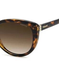 Zonnebril|Polaroid Brown Cat Eye Sunglasses