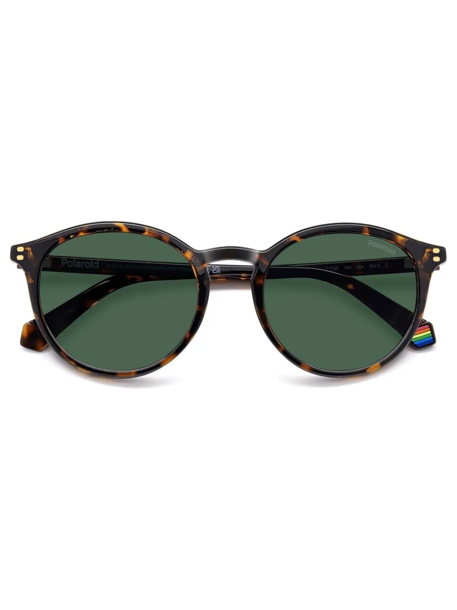 Zonnebril|Polaroid Havanas Panthos Brown Sunglasses