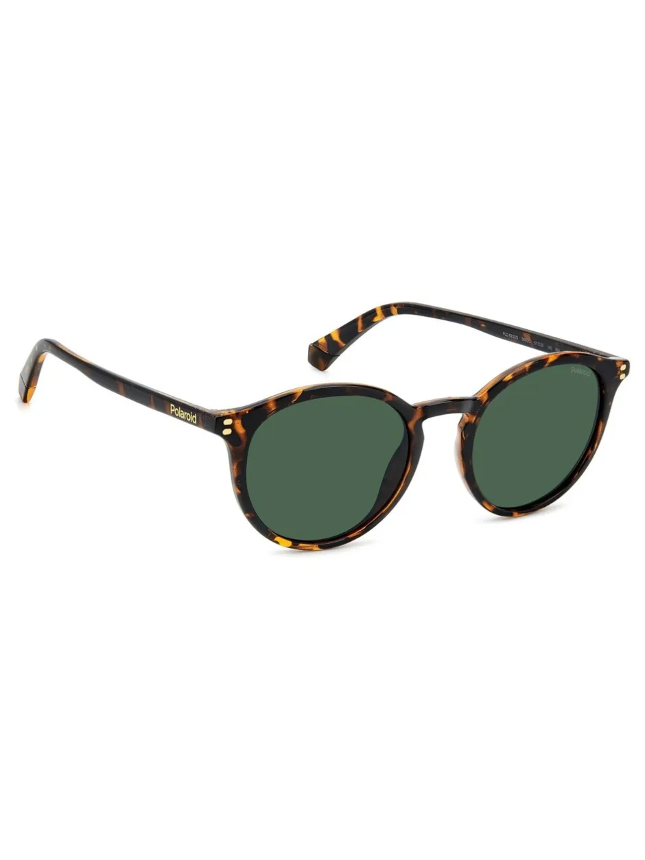 Zonnebril|Polaroid Havanas Panthos Brown Sunglasses