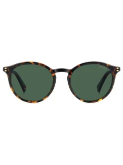 Zonnebril|Polaroid Havanas Panthos Brown Sunglasses